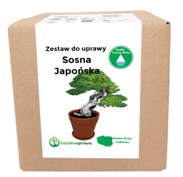 Zestaw do Uprawy BONSAI sosna japońska X nasiona podłoże doniczka dga13 itd