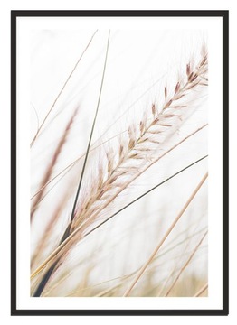 OBRAZ PLAKAT W RAMIE 33x43 cm Boho P2298