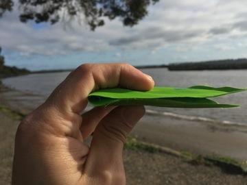 SCRUBBA Ультратонкий дорожный кошелек 7г Зеленый