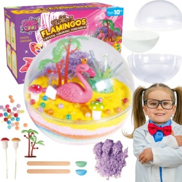 ЭКСПЕРИМЕНТЫ ДЛЯ ДЕТЕЙ НАБОР ДЛЯ ВЫРАЩИВАНИЯ КРИСТАЛЛОВ МИНЕРАЛЫ СИЯНИЯ МИРА