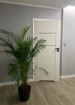 Акция на межкомнатные двери WINDOOR pegasus