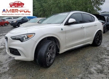 Alfa Romeo Stelvio 2018 Alfa Romeo Stelvio Quadrifoglio 2018 2.9l 2.9 Benzyna 505KM