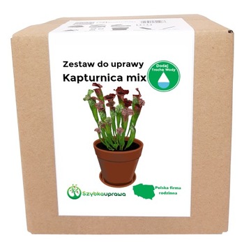 Zestaw mięsożerny kapturnica mix NA PREZENT