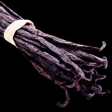 Yodeyma INSTINT Eau de Parfum 100 мл EDP