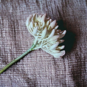 Искусственная ветка мини-перца CREAM PINK 28см