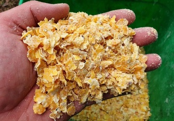 GENESIS CARP CORN CARP CRUNCH 5KG