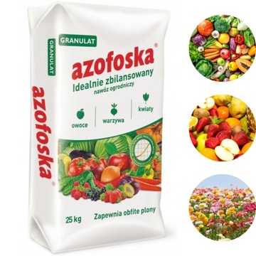 Nawóz ogrodniczy Azofoska granulat worek 25 kg