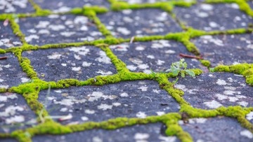 Антимох Фасадные крыши - Концентрат 5 л