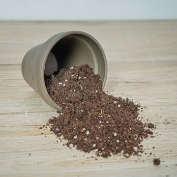 Грунт для Стрелиции Premium Dedicated Substrate 13л