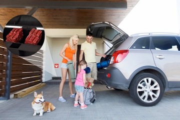 ТУННЕЛЬНАЯ СТАНЦИЯ ДЕРАТИЗАЦИИ ДЛЯ МЫШЕЙ И КРЫС С КЛЮЧОМ NO PEST KEY