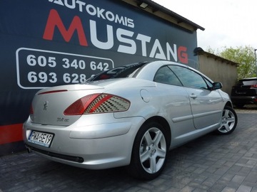 Peugeot 307 I Cabrio 2.0 16V 136KM 2004 Peugeot 307 CC 2.0 Benzyna 136, zdjęcie 3