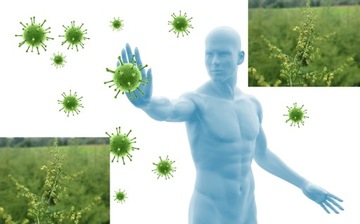 ЕЖЕГОДНАЯ МУРГЕРИЯ, ПОЛЬСКИЙ ЭКО ПРОДУКТ!