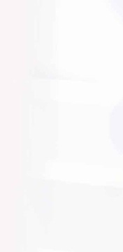 Грес 160x80 Белый глянец Керамика