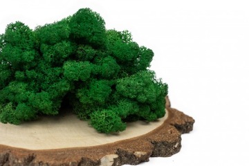 ХРОБОТЕК Олений мох темно-зеленый 70г