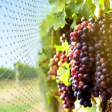 Сетка для птиц 8х14м защитная от птиц