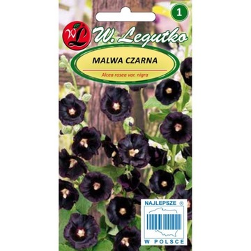 MALWA OGRODOWA NASIONA CZARNE KWIATY