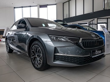 Skoda Octavia IV Liftback 1.5 TSI EVO 150KM 2025 Octavia Selection Edition 130 1.5 TSI mHEV DSG 150KM