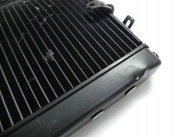 Полем Триумф скорость тройной 1050 11 + CH0 Cooler