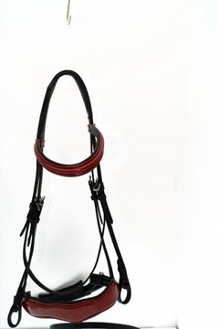 АНАТОМИЧЕСКАЯ ХРУПКОСТЬ, ПРОФИЛИРОВАННЫЙ РАЗМЕР. ПОЛНЫЙ