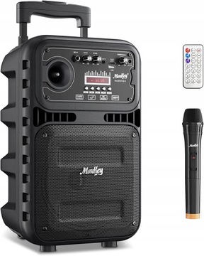 MINI GŁOŚNIK PRZENOŚNY BLUETOOTH MOUKEY MTS8-2 FM