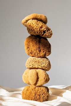 Губка натуральная HONEYCOMB размер L UBO