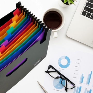 СКЛАДНАЯ ПАПКА С 13 ЧАСТЯМИ, ГАРМОНИКА