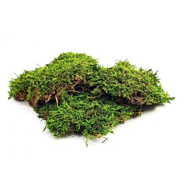 BioFlat Moss Mech płaty 100g