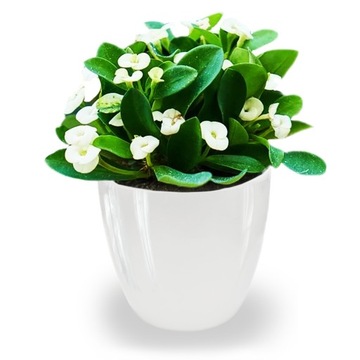 Горшок для цветов GLOSS белый, кашпо COVER, грунт, 23 см