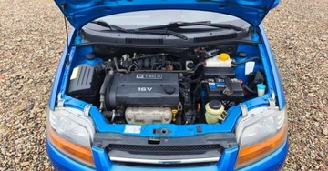 Daewoo Kalos Hatchback 1.4 i 16V 94KM 2004 Daewoo Kalos Daewoo Kalos 1.4 Benzyna 94KM, zdjęcie 32