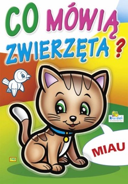 KOLOROWANKA MALOWANKA 16 str wyd. Krzesiek CO MÓWI