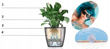 ЦВЕТОЧНЫЙ ГОРШОК, САДОВАЯ ЯЩИКА, ЦВЕТОЧНАЯ ЯЩИКА ДЛЯ БАЛКОНА, ТЕРРАСЫ, АНТРАЦИТ + ВСТАВКА