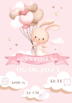 METRYCZKA PLAKAT DLA DZIECKA Bunny Pink Imię+Ramka