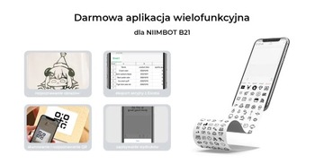 Зеленый термопринтер NIIMBOT B21 + рулон этикеток