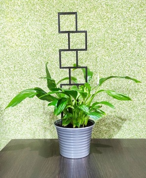 PODPÓRKA KWIATÓW ROŚLIN DRABINKA PERGOLA 25cm