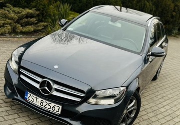 Mercedes Klasa C W205 2015 Mercedes-Benz Klasa C Automat Bushmester Panor..., zdjęcie 15