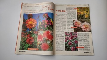 Дзялковец 8 1997 г.