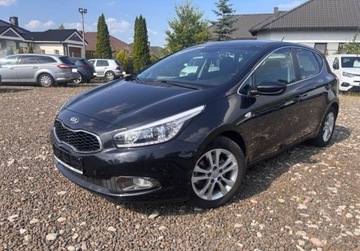 Kia Ceed II pro_cee´d 1.6 GDI 135KM 2014 Kia Ceed 1.6B 135KM klimatronik stan bdb LEDY 1.6 Benzyna 135KM, zdjęcie 24