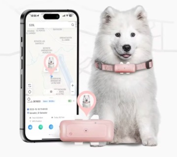 GPS-трекер 4G для животных. Трекер для собак и кошек без абонентской платы
