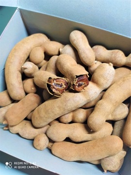 SŁODKI TAMARYNDOWIEC 450g - desery, sosy, cukierki
