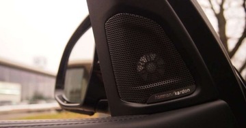 BMW X5 F15 SUV xDrive25d 231KM 2016 BMW X5 M-Pakiet Individual Servis Tylko ASO-BMW Salon Polska 1 Wlasciciel, zdjęcie 12