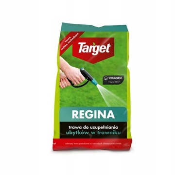 TRAWA DO UBYTKÓW REGINA UZUPEŁNIA UBYTKI NASIONA TRAW TARGET 5 KG