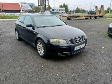 Audi A3 8L Hatchback 1.6 i 102KM 2003 Audi A3 3-drzwiowe 1.6 03r