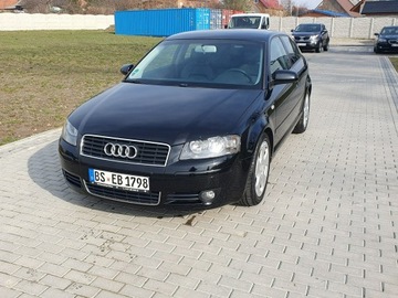 Audi A3 8P Hatchback 3d 2.0 TDI PD 140KM 2004 Audi A3 2.0tdi 140KM Skóra Klima Alu17 Raty, zdjęcie 1