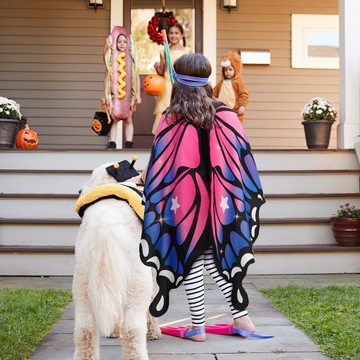 КОМПЛЕКТ «Крылья бабочки» ШАПКА С АНТЕННАМИ И КРУЖЕВНАЯ МАСКА