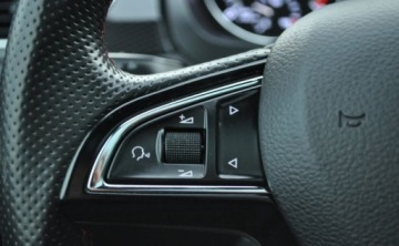 Skoda Rapid II Liftback Facelifting 1.0 TSI 110KM 2018 Skoda RAPID Monte Carlo 1.0 Benzyna Benzyna 110KM, zdjęcie 24