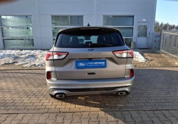 Ford Kuga III SUV 2,0 EcoBlue 120KM 2023 Ford Kuga 2.0 EcoBlue 120 KM AWD AT8 wersja ST-Line - FV23 - gwarancja do, zdjęcie 4