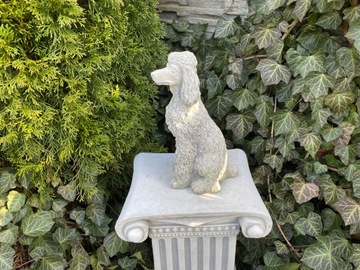 Figura betonowa ogrodowa pies pudel