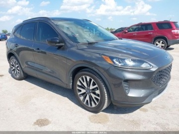 Ford Escape III 2020 Ford Escape 2020 FORD ESCAPE SE SPORT HYBRID Print 2.5 Hybryda 165KM, zdjęcie 1