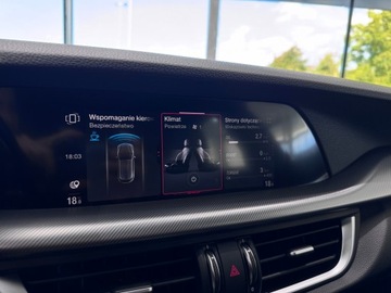 Alfa Romeo Stelvio SUV Facelifting 2.0 Turbo 280KM 2020 Alfa Romeo Stelvio Veloce Q4 / 1 właściciel / Salo, zdjęcie 28