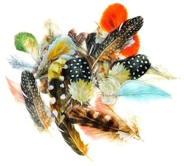 Zestaw 40 naklejek do scrapbooking piórka pióra